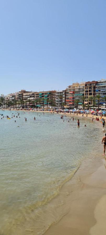Calle Maestro Parada Torrevieja Dış mekan fotoğraf