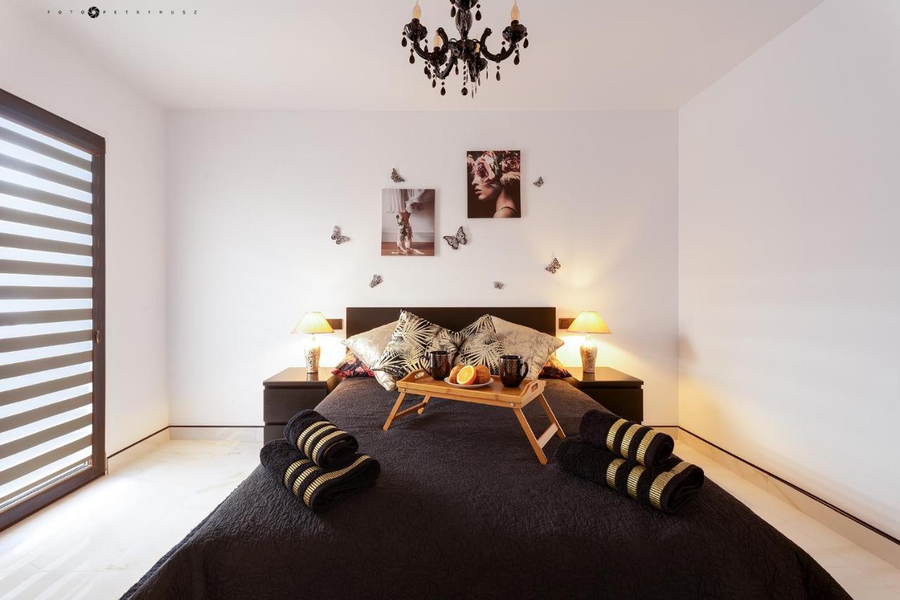 Calle Maestro Parada Torrevieja Dış mekan fotoğraf